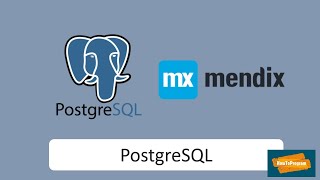 Mendix PostgreSQL DB Connection [upl. by Neellek]