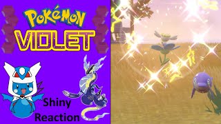 Pokemon Violet Shiny Blue Flower Flabebe Reaction [upl. by Hermann]