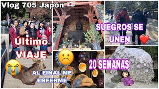 🇯🇵 ÚLTIMO paseo 🥲 Suegros Japoneses se UNEN 🥺  Mi Familia EN Japón ✨ ME acabe ENFERMANDO 🥲 [upl. by Yeldar]