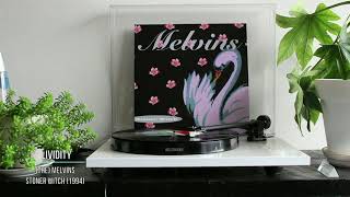 Melvins  Lividity 11 Vinyl rip [upl. by Goeger282]