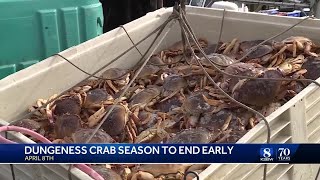 Dungeness crab fishing season to end early for most of California [upl. by Anua]