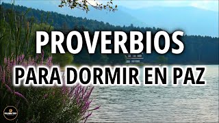 Palabra de Dios Para Dormir  Proverbios  Biblia Hablada  Despierta Mas Sabio [upl. by Ainevuol]