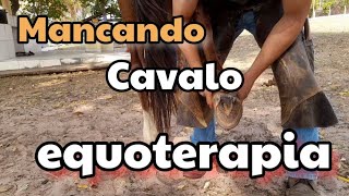 Cavalo de equoterapia mancando a 10 dias Cascosemdia2026 [upl. by Eldwon468]