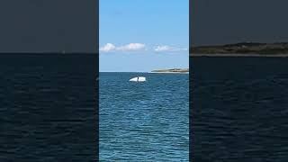 Capsized sailboat off Cuttyhunk Island [upl. by Eahsed]