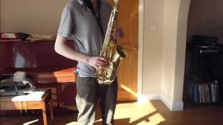 Yanagisawa AWO1 alto saxophone solo [upl. by Dietsche]