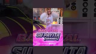 Bad Gyal  Su Payita Gramos ADELANTO [upl. by Baun710]