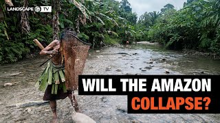 Amazon Deforestation The Next Climate Tipping Point [upl. by Onairot333]