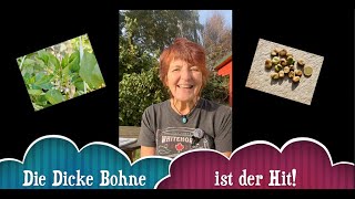 Die Dicke Bohne ist der Hit [upl. by Liebman372]