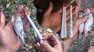 Blowgun Hunting With Paper Is It Possable [upl. by Sucramad]