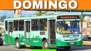 LINHAS que só OPERAM aos DOMINGOS  Movimentação de Ônibus 216 [upl. by Elidad733]