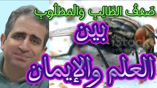 الإعجاز في الخلق والعلم ،كشف أسرار الذبابThe Miracle of Creation and Science  the Secrets of Flies [upl. by Lantha]