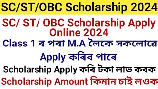 SC ST OBC Scholarship 2024 Apply Online  1 to 10 amp HS to MA All Apply  Scholarship 2024 [upl. by Annocahs]