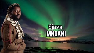 Sjava  Mngani  lyrics [upl. by Forkey789]