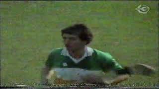 All Ireland Hurling Final 1981 Offaly vs Galway including Preview to Game [upl. by Enirehtahc]