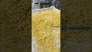 Macaroni Making Machine – Parmat Pasta Machine noodles [upl. by Jervis652]