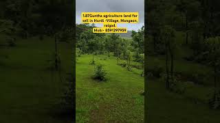 187 Acres land agriculture land for sell in Hurdi Village Mangaon raigadMob 8591297959 [upl. by Llevra]