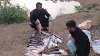 fish 🐠🐠 hunting in dam  fishing vedio [upl. by Aivonas992]