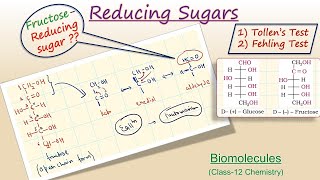 Reducing Property of Sugars  Carbohydrates  Biomolecules  Class12 Chemistry  6 [upl. by Aivital]