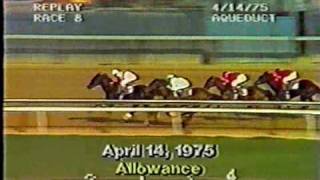 Ruffian  1975 Allowance [upl. by Otreblanauj]