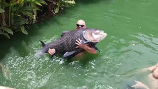 Bazils 2nd fish on his first morning at Gillhams Fishing Resorts Thailand [upl. by Daniell]