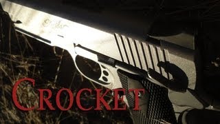 Kimber 1911 TLE RL II Review [upl. by Odarnoc]