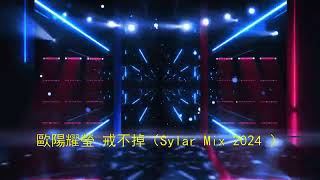 歐陽耀瑩 戒不掉（Sylar Mix2024 ） [upl. by Quintus692]