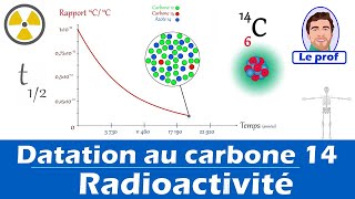 Principe de la datation au carbone 14 🦴  Lycée 1ère Enseignement Scientifique [upl. by Elfreda]