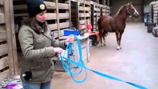 HORSE LUNGEING HOWTOs  How to Roll Up the Lunge Line [upl. by Farris453]