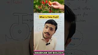 What is Pseudocarpic Fruit l What is False Fruit l biology fruit neet neet2025 ncert vvi bio [upl. by Aryamoy]