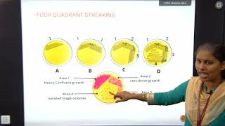 Lecture 01 Isolation and Preservation of Microorganism  Microbiology  BScI [upl. by Llehcim111]