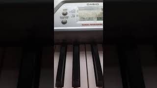 Piano Casio CTK491  Songs are in the Casio CTK591 2 [upl. by Lionel]