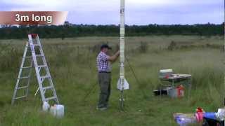 3m tall water rocket [upl. by Fineman]