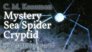 CRYPTID PROFILE The 1989 ROV Mystery Sea Spider [upl. by Anaed]