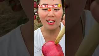 Apple farming 😋 very tasty fruit 🍑nature fruit shorts [upl. by Nebra]