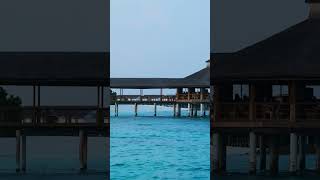 Trip to Lakshadweep A Hidden Gem in the Arabian Sea 🏝️ lakshadweep islandlife travelshorts [upl. by Fezoj]