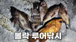 방파제 내항에서 볼락을 쉽게 잡을 수 있는 곳 루어 낚시로 볼락을 잡아보자 [upl. by Alilahk269]