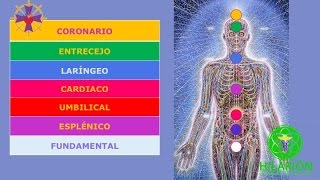 CHAKRAS Metafísica Avanzada [upl. by Loella]