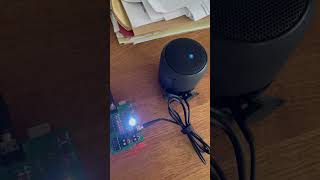 Arduino Voice Modulator Test [upl. by Amoritta373]