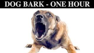 Sound Effects Of Dog Barking  ONE HOUR  BARK  GROWLING  CRY  PUPPY  WHINING  HQ [upl. by Seth]