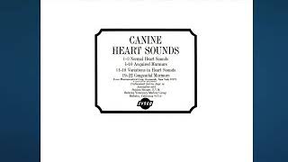 canine heart sounds2 sonidos cardiacos caninos2 veterinary veterinaria [upl. by Trellas]