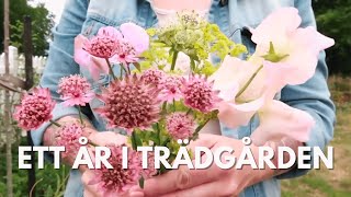 Andra ÅRET I MIN TRÄDGÅRD  trädgårdsvisning 2023  TRÄDGÅRDSDESIGNERNS TRÄDGÅRD [upl. by Aisanat552]