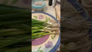 1st time Bunching Green Onion harvest [upl. by Auston]