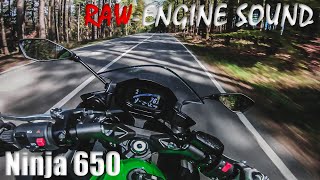 Kawasaki Ninja650  RAWEngine Sound [upl. by Euv]