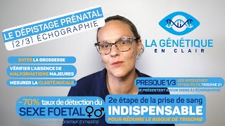 Le dépistage prénatal  létape de léchographie de clarté nucale au premier trimestre de grossesse [upl. by Basilius612]