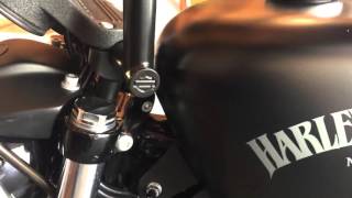 10quot Harley Davidson chizeled bars review [upl. by Papotto]