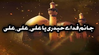 Janam fida e haideri ya aliasnaat  New Manqabat 2024 Urdu Lyrics Mein Naat [upl. by Nosremaj535]