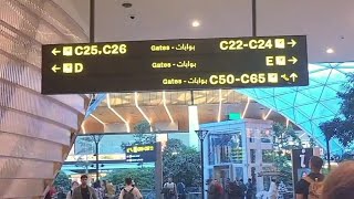 Qatar airport view [upl. by Berstine402]