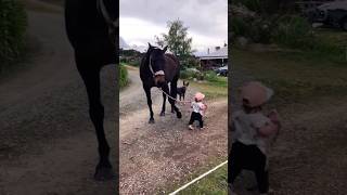 is the horse easy to control🐎 horseriding shorts youtubeshorts [upl. by Pelagias]