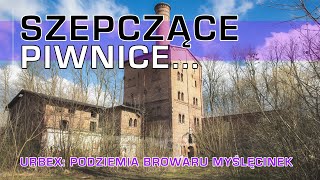 URBEX POV  SZEPCZĄCE PIWNICE urbex urbandecay explore [upl. by Adnoral]