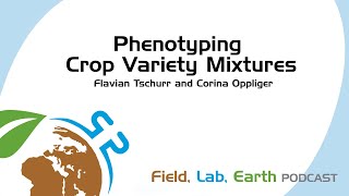 Phenotyping Crop Variety Mixtures with Flavian Tschurr and Corina Oppliger  Field Lab Earth 120 [upl. by Nonnarb]